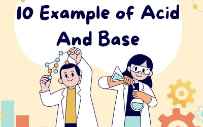 10 Example of Acid And Base