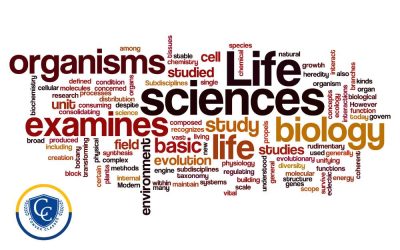 How Many Questions in NEET Biology? NEET 2025-26 Aspirants