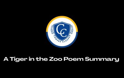 A Tiger in the Zoo Poem Summary