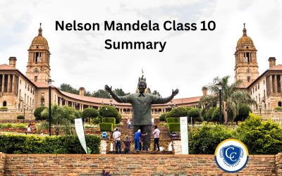 Nelson Mandela Class 10 Summary