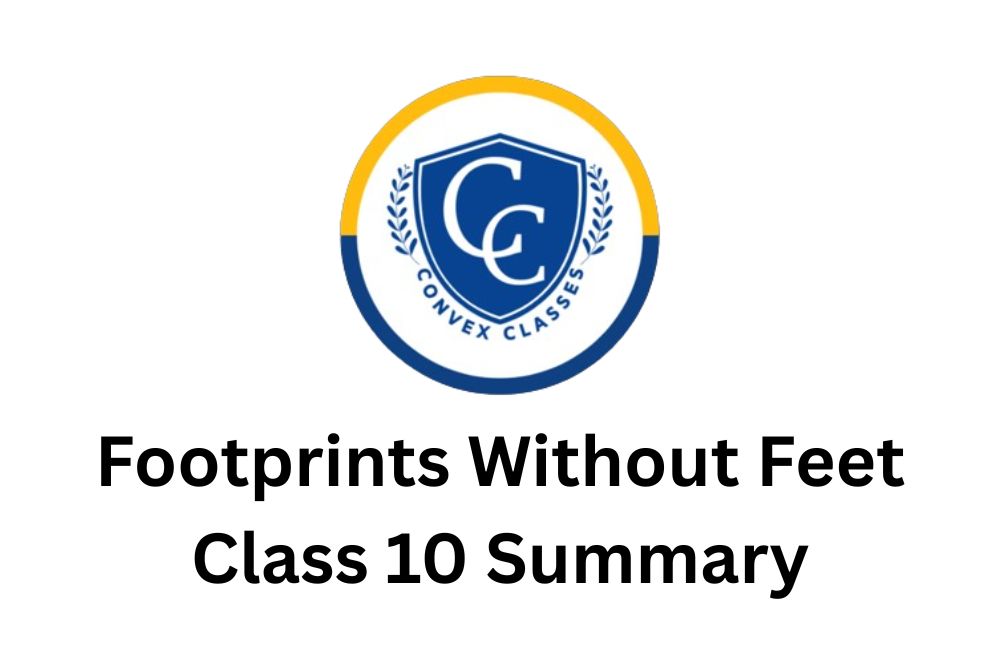 Footprints Without Feet Class 10 Summary