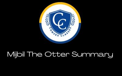 Mijbil The Otter Summary