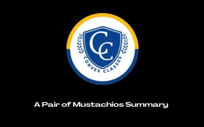 A Pair of Mustachios Summary