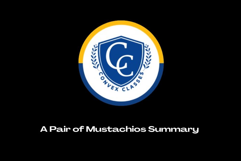 A Pair of Mustachios Summary