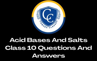 Acid Bases And Salts Class 10 Questions And Answers