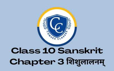 Class 10 Sanskrit Chapter 3 शिशुलालनम् | Hindi Translation