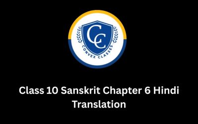 Class 10 Sanskrit Chapter 6 Hindi Translation