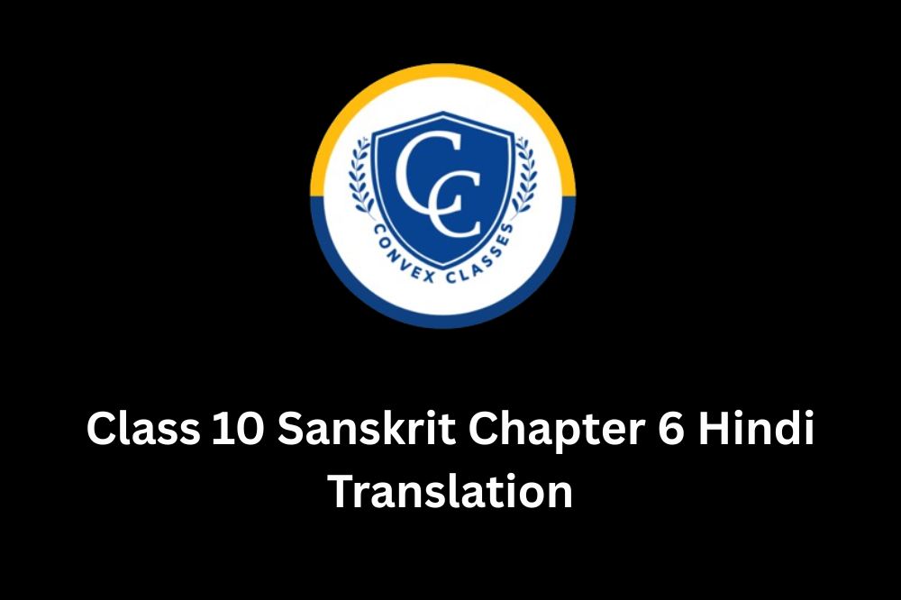 Class 10 Sanskrit Chapter 6 Hindi Translation