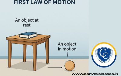 Newton’s First Law of Motion