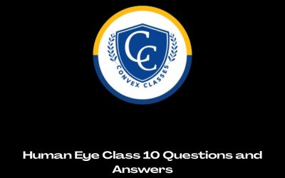 Human Eye Class 10 Questions and Answers