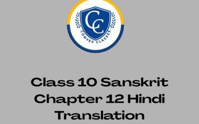 Class 10 Sanskrit Chapter 12 Hindi Translation