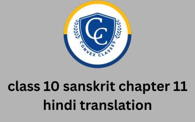 class 10 sanskrit chapter 11 hindi translation