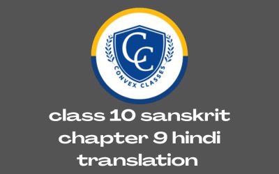 Class 10 Sanskrit Chapter 9 Hindi Translation