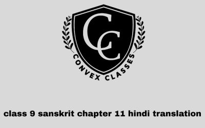 class 9 sanskrit chapter 11 hindi translation