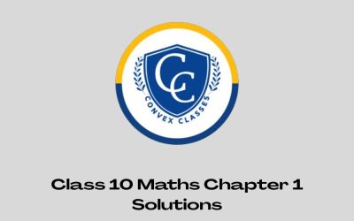 Class 10 Maths Chapter 1 Solutions