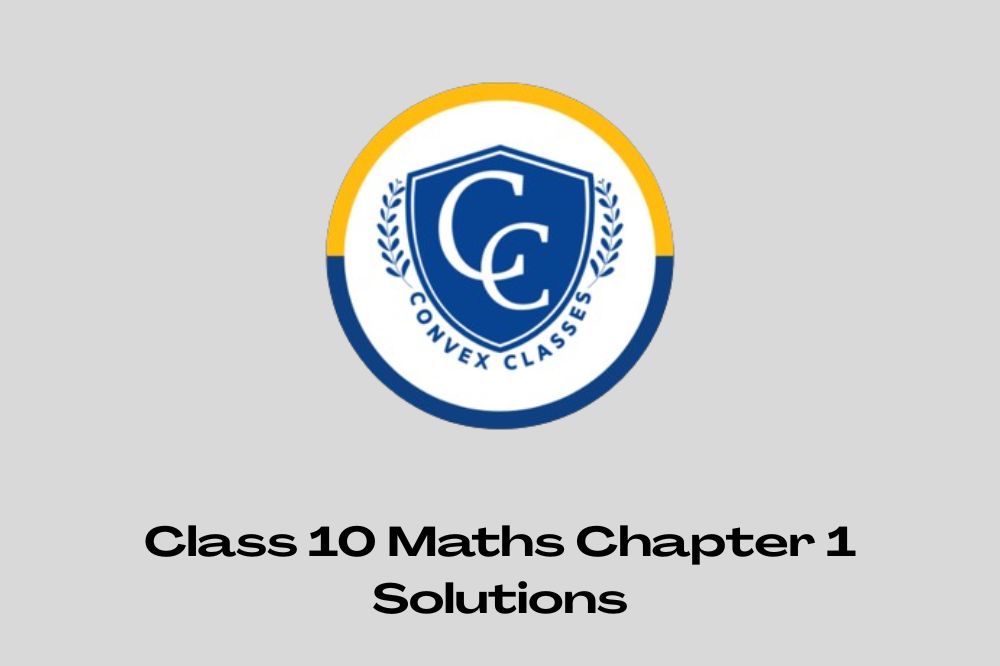 Class 10 Maths Chapter 1 Solutions