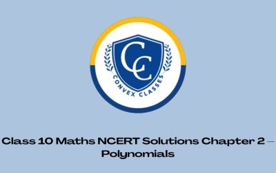 Class 10 Maths NCERT Solutions Chapter 2 – Polynomials
