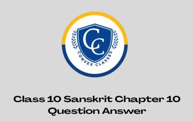 Class 10 Sanskrit Chapter 10 Question Answer