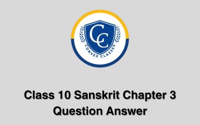 Class 10 Sanskrit Chapter 3 Question Answer