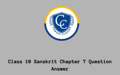 Class 10 Sanskrit Chapter 7 Question Answer