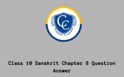 Class 10 Sanskrit Chapter 8 Question Answer