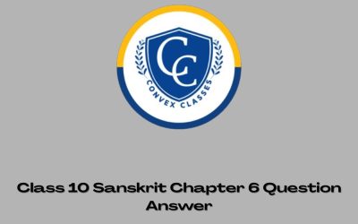 Class 10 Sanskrit Chapter 6 Question Answer