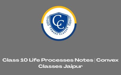 Class 10 Life Processes Notes | Convex Classes Jaipur