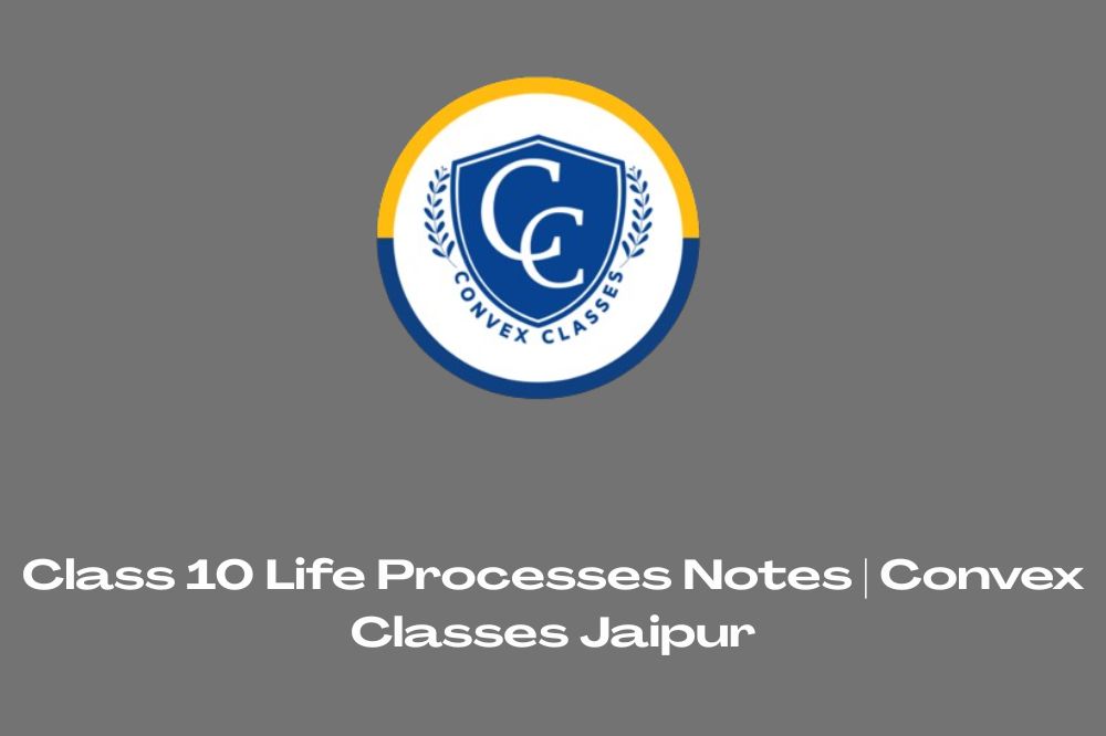 Class 10 Life Processes Notes | Convex Classes Jaipur