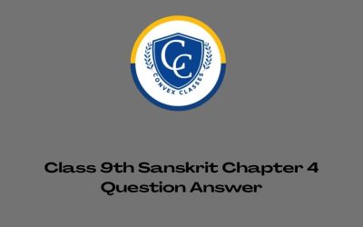 Class 9th Sanskrit Chapter 4 Question Answer