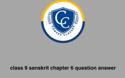 class 9 sanskrit chapter 6 question answer
