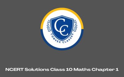 NCERT Solutions Class 10 Maths Chapter 1
