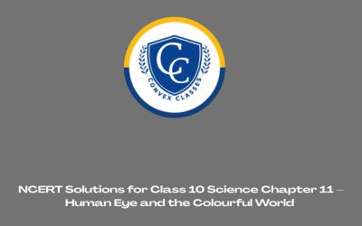 NCERT Solutions for Class 10 Science Chapter 11 – Human Eye and the Colourful World