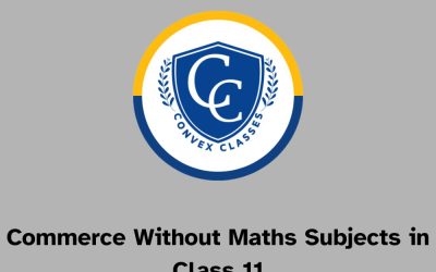 Commerce Without Maths Subjects in Class 11