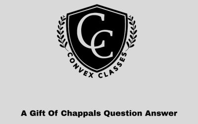 A Gift Of Chappals Question Answer | NCERT Solutions Class 7 English – Unit 2