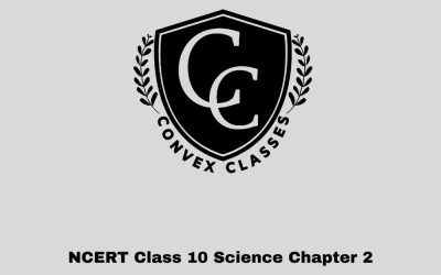 NCERT Class 10 Science Chapter 2 — Acids, Bases and Salts: Full Notes, Solutions & Tricks