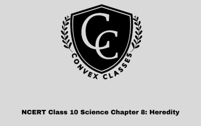 NCERT Class 10 Science Chapter 8: Heredity
