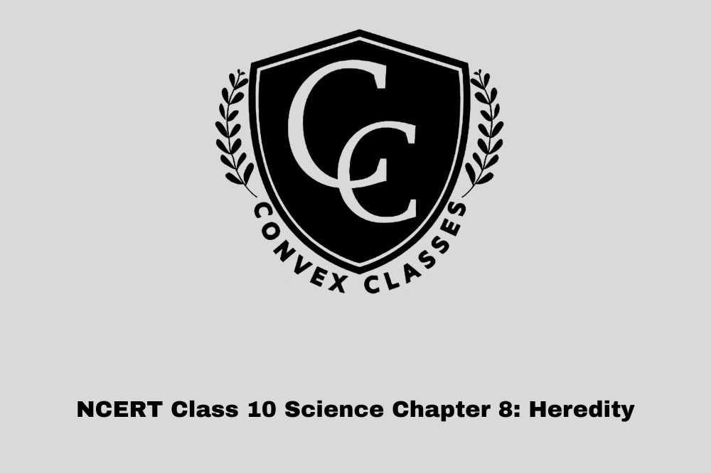 NCERT Class 10 Science Chapter 8: Heredity
