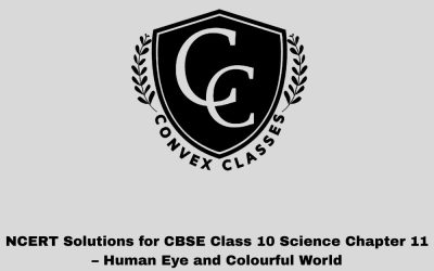 NCERT Solutions for CBSE Class 10 Science Chapter 11 – Human Eye and Colourful World