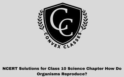NCERT Solutions for Class 10 Science Chapter How Do Organisms Reproduce?