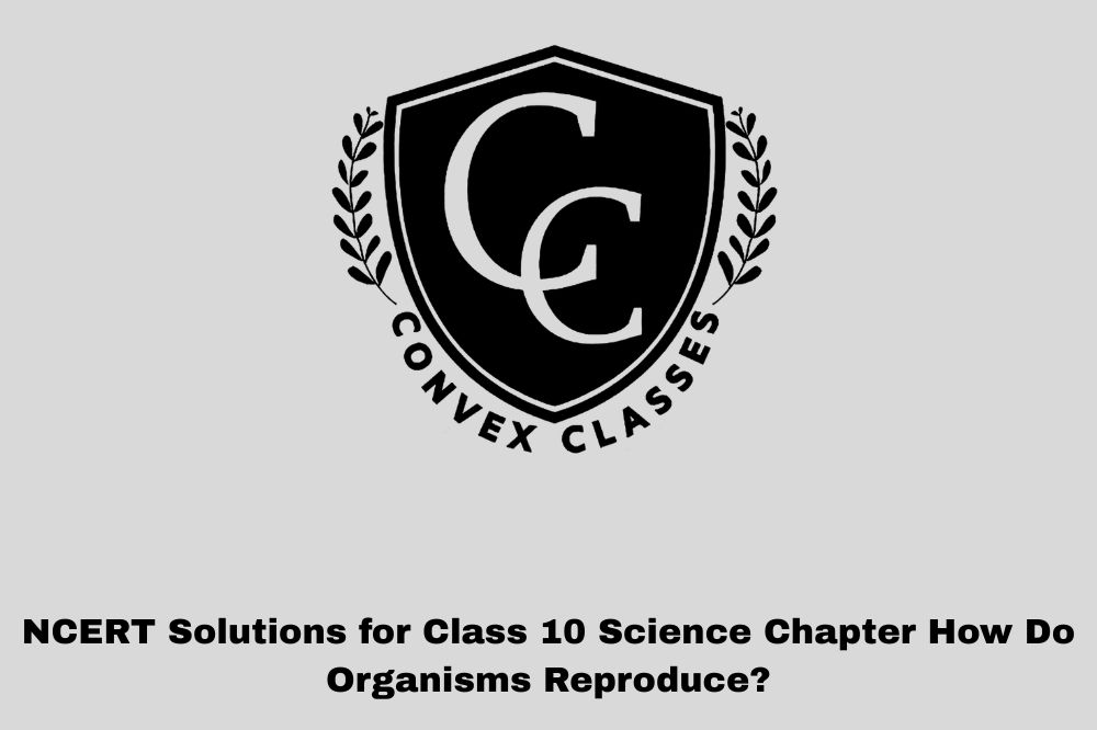 NCERT Solutions for Class 10 Science Chapter How Do Organisms Reproduce?