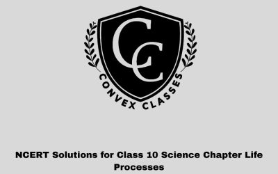 NCERT Solutions for Class 10 Science Chapter Life Processes