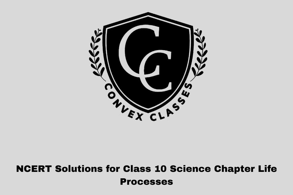 NCERT Solutions for Class 10 Science Chapter Life Processes