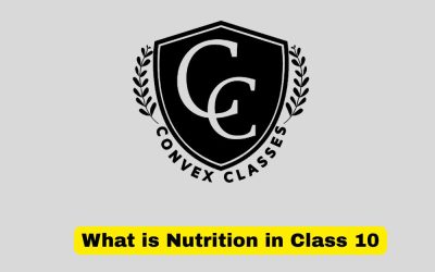 What is Nutrition in Class 10? Definition, Types, Importance & Process of Nutrition