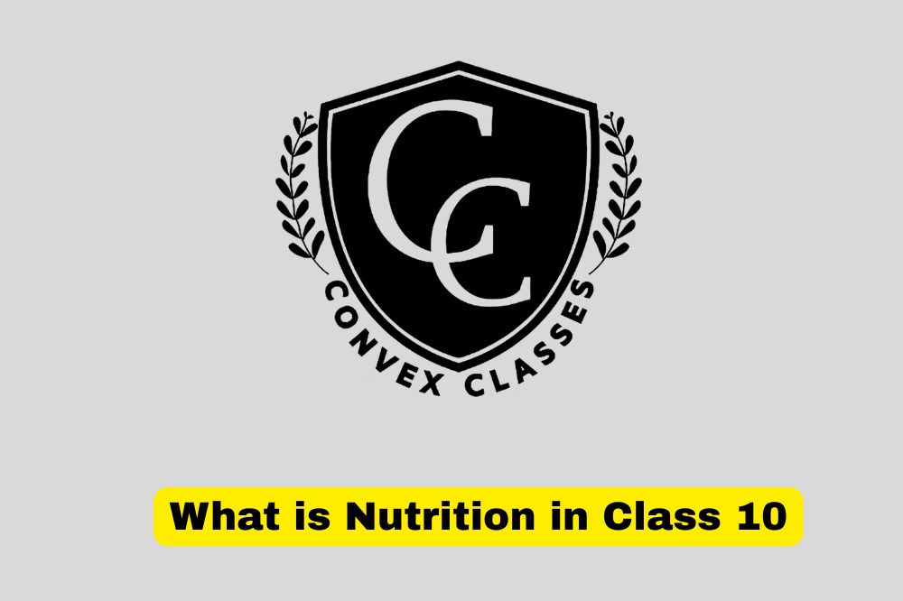 What is Nutrition in Class 10? Definition, Types, Importance & Process of Nutrition